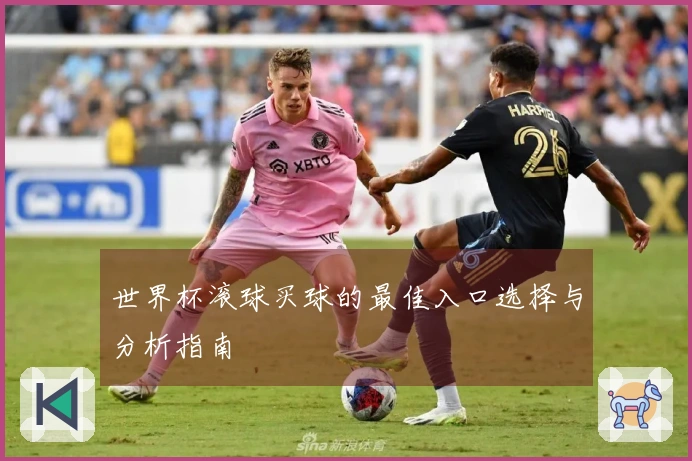 世界杯滚球买球的最佳入口选择与分析指南