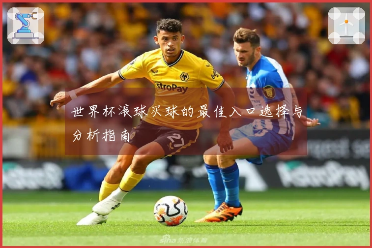 世界杯滚球买球的最佳入口选择与分析指南