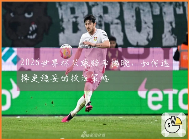 2026世界杯买球赔率揭晓，如何选择更稳妥的投注策略