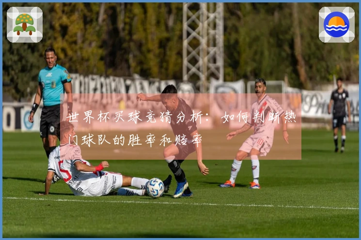世界杯买球竞猜分析：如何判断热门球队的胜率和赔率